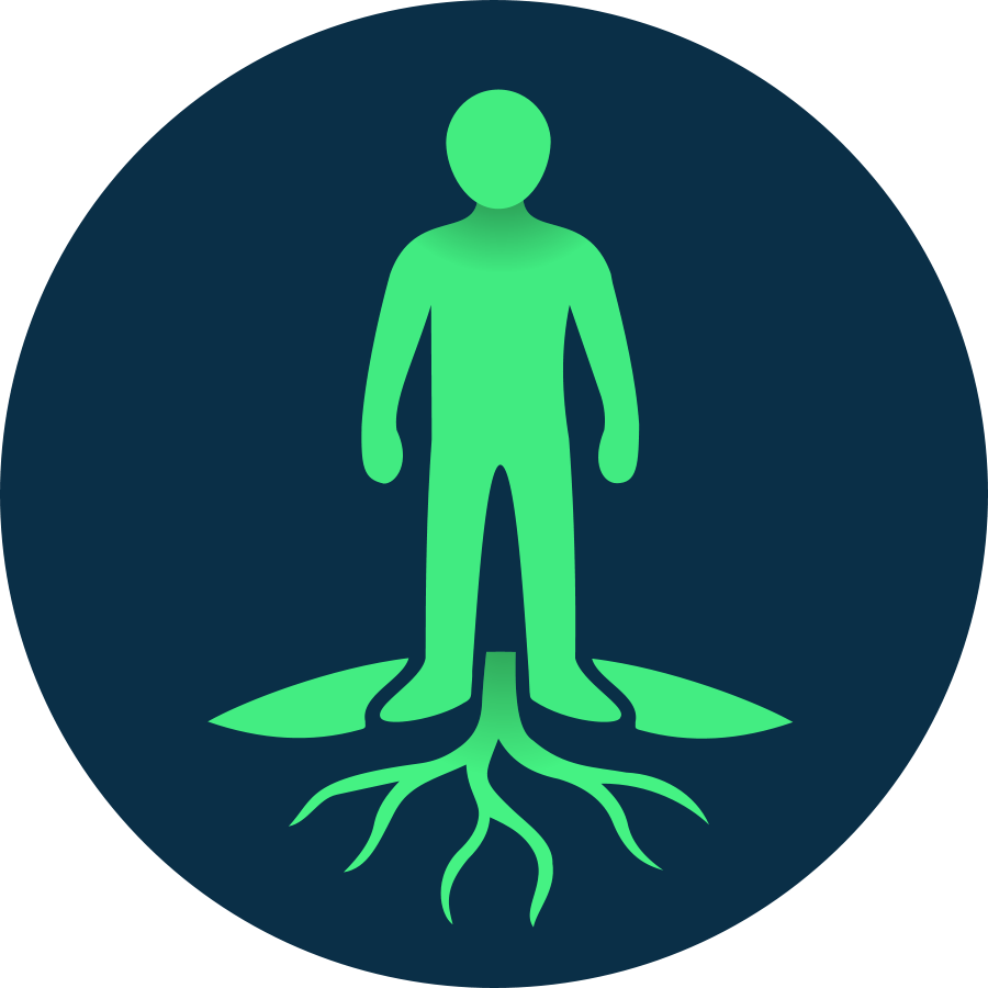 Logo Conexionatierra.pro